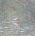 B�casseau maub�che (Calidris canutus) � Sabine Laurencin