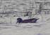 Canard de Chilo� - � Emmanuel S�chet