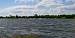 Cygne tubercul�  - Maxime Dup�
