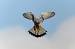 Faucon cr�cerelle (Falco tinnunculus) � Denis Attinault
