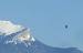 Go�land leucoph�e (Larus michahellis) � Sorlin Chanel