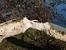 Castor d'Europe (Castor fiber) � Bertrand Tranchand